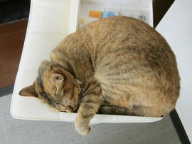 IMG03473.jpg
