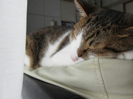 IMG03476.jpg