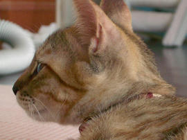 IMGP7071.jpg