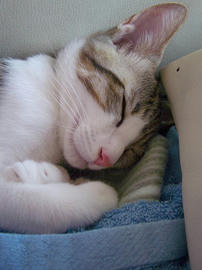 IMGP7087.jpg