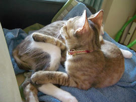 IMGP7123.jpg