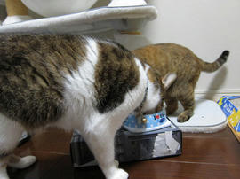 IMG03483.jpg