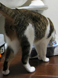 IMG03484.jpg