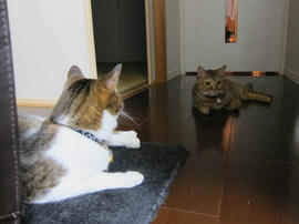 IMG03486.jpg