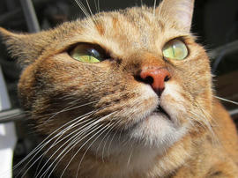 IMG03488.jpg