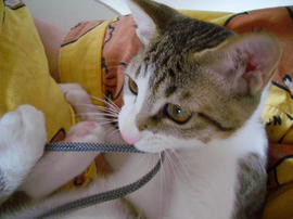 IMGP7155.jpg