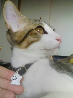 PA0_0116.jpg