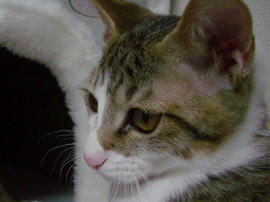 IMGP7188.jpg