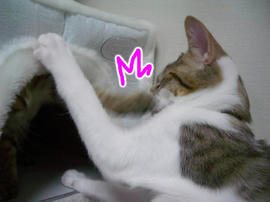 IMGP7189.jpg