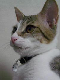 IMGP7199.jpg