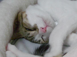 IMGP7224.jpg