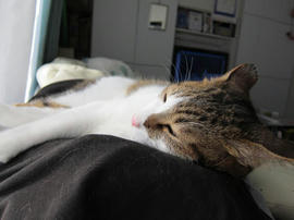 IMG03489.jpg