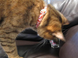IMG03495.jpg
