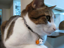 IMG03493.jpg