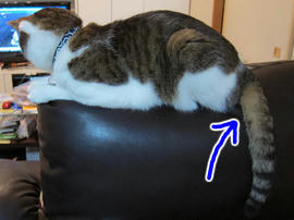 IMG03499.jpg