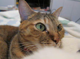 IMG03501.jpg