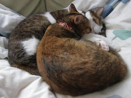 IMG03503.jpg