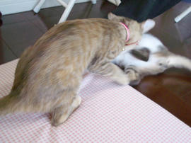 IMGP7269.jpg