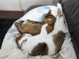 IMG03507.jpg