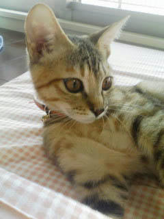 PA0_0114.jpg