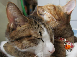 IMG03512.jpg