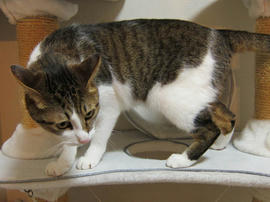 IMG03515.jpg