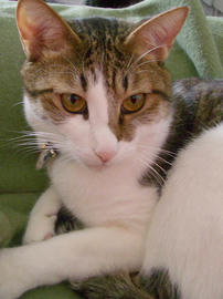 IMGP12248.jpg
