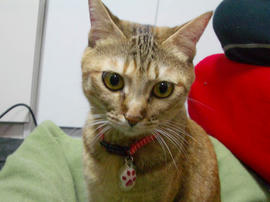 IMGP12252.jpg