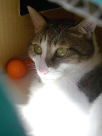 IMGP14866.jpg