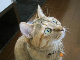 IMG03524.jpg