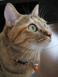 IMG03525.jpg