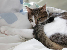 IMG03529.jpg