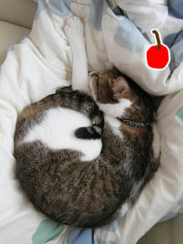 IMG03530.jpg