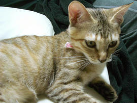 IMGP7359.jpg