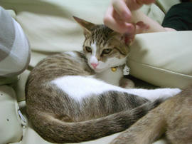 IMGP7361.jpg