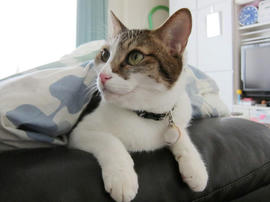 IMG03533.jpg