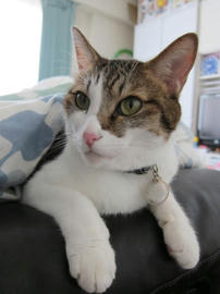 IMG03534.jpg