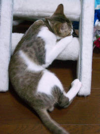 IMGP7379.jpg