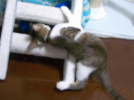 IMGP7383.jpg