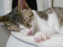 IMGP7403.jpg
