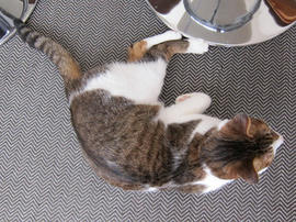 IMG03541.jpg