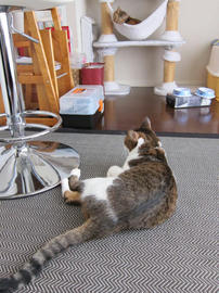 IMG03542.jpg