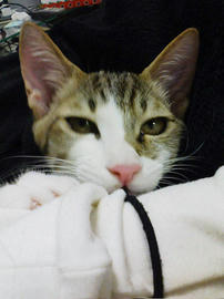 PAP_0026.jpg