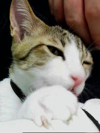 PAP_0028.jpg