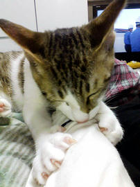 PAP_0021.jpg