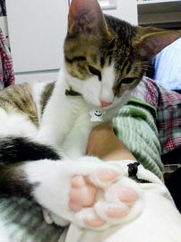 PAP_0022.jpg