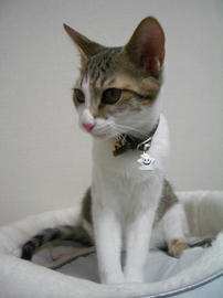 IMGP7411.jpg