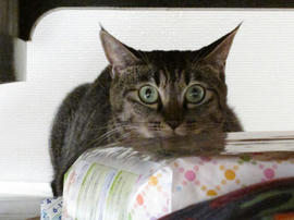 IMG03543.jpg