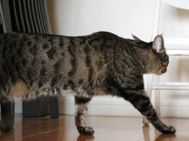 IMG03544.jpg