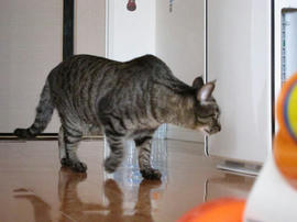 IMG03549.jpg